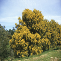 View listing ID ref#150