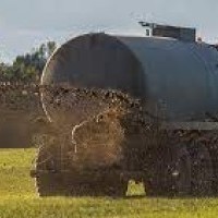 View listing ID ref#159