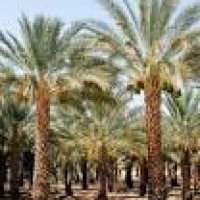 View listing ID ref#164