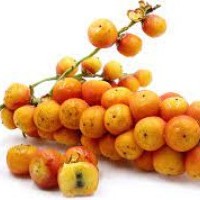 View listing ID ref#166