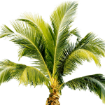 View listing ID ref#173