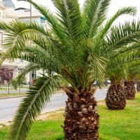 View listing ID ref#89